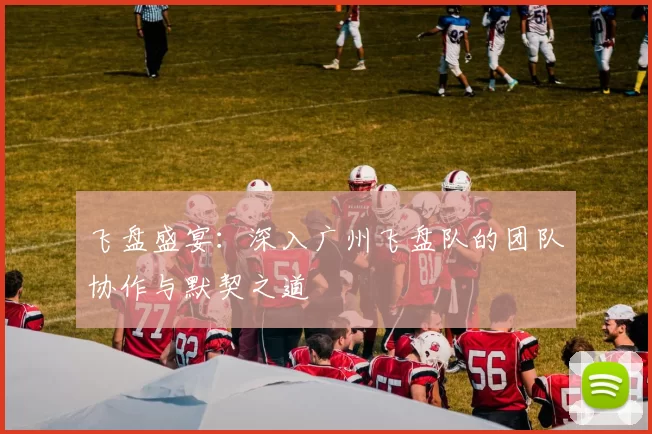 飞盘盛宴：深入广州飞盘队的团队协作与默契之道