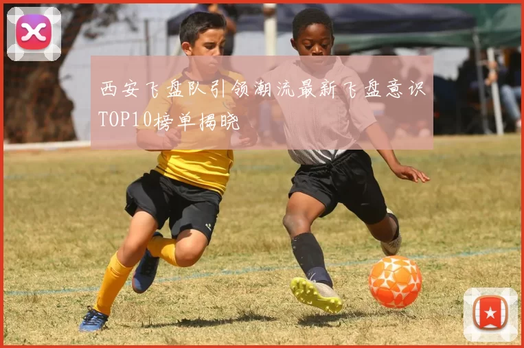 西安飞盘队引领潮流最新飞盘意识TOP10榜单揭晓