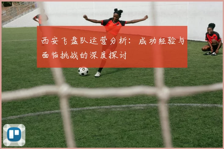 西安飞盘队运营分析：成功经验与面临挑战的深度探讨