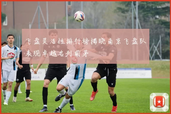 飞盘灵活性排行榜揭晓南京飞盘队表现卓越名列前茅