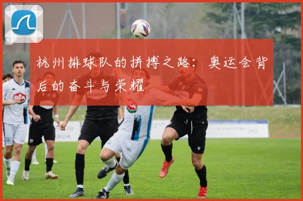 杭州排球队的拼搏之路：奥运会背后的奋斗与荣耀