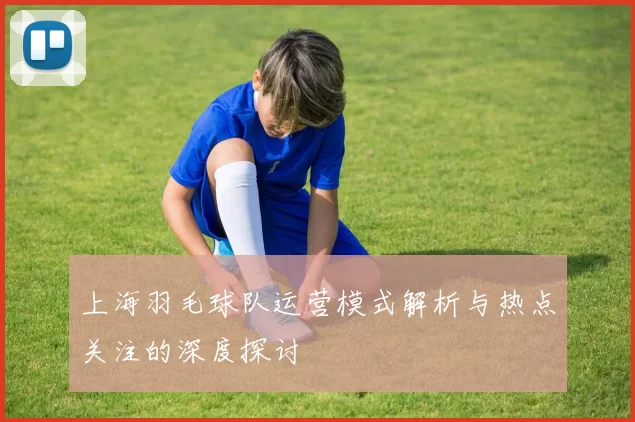 上海羽毛球队运营模式解析与热点关注的深度探讨