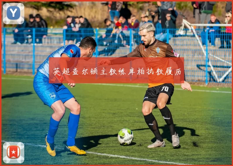 英超查尔顿主教练库柏执教履历