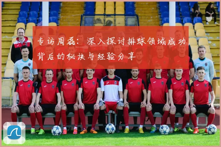 专访周磊：深入探讨排球领域成功背后的秘诀与经验分享