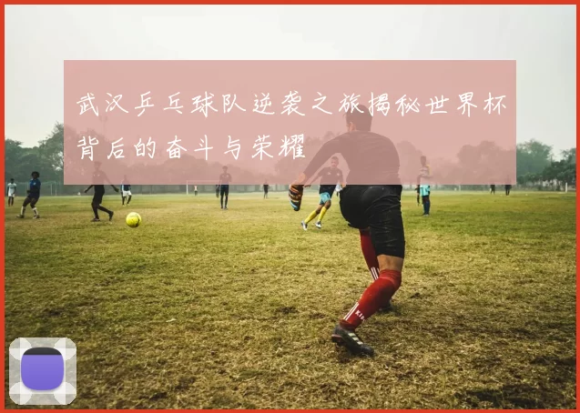 武汉乒乓球队逆袭之旅揭秘世界杯背后的奋斗与荣耀