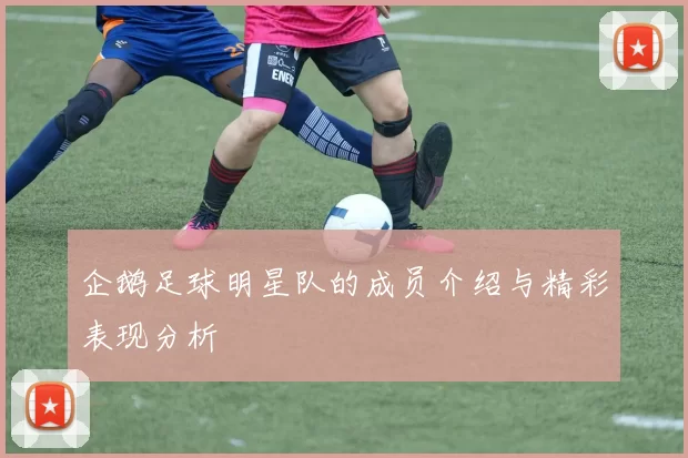 企鹅足球明星队的成员介绍与精彩表现分析