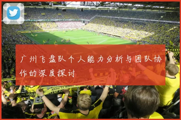 广州飞盘队个人能力分析与团队协作的深度探讨