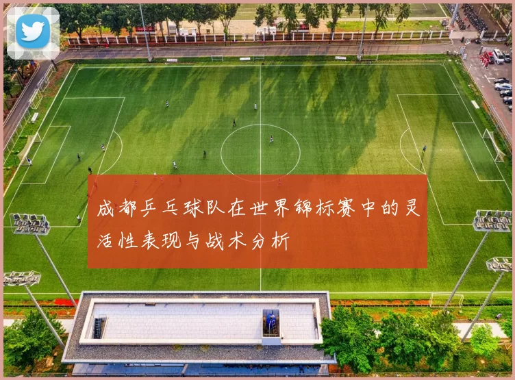 成都乒乓球队在世界锦标赛中的灵活性表现与战术分析