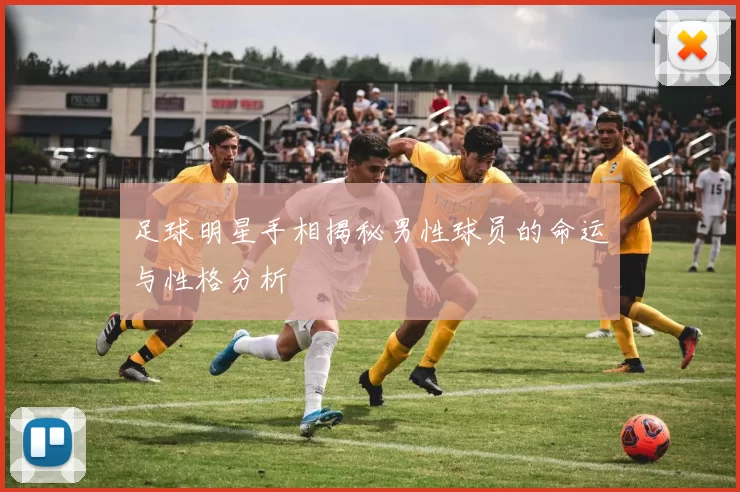 足球明星手相揭秘男性球员的命运与性格分析
