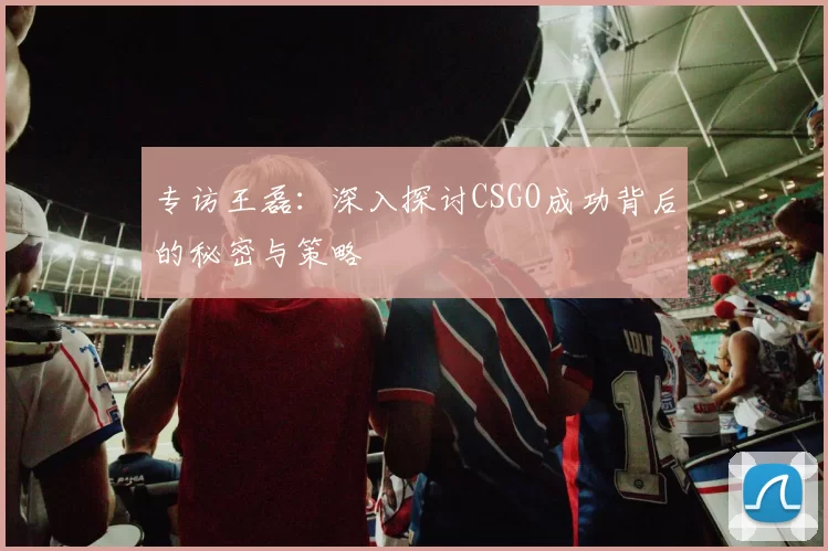 专访王磊：深入探讨CSGO成功背后的秘密与策略