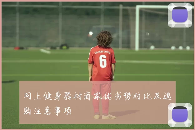 网上健身器材商家优劣势对比及选购注意事项