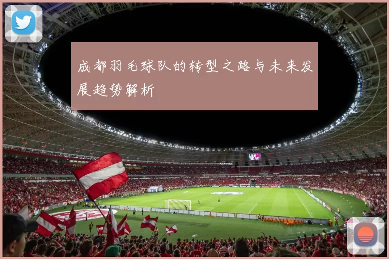 成都羽毛球队的转型之路与未来发展趋势解析