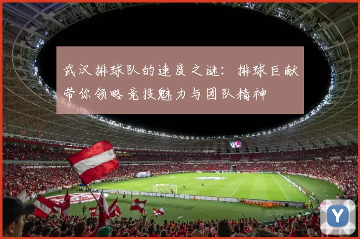 武汉排球队的速度之谜：排球巨献带你领略竞技魅力与团队精神