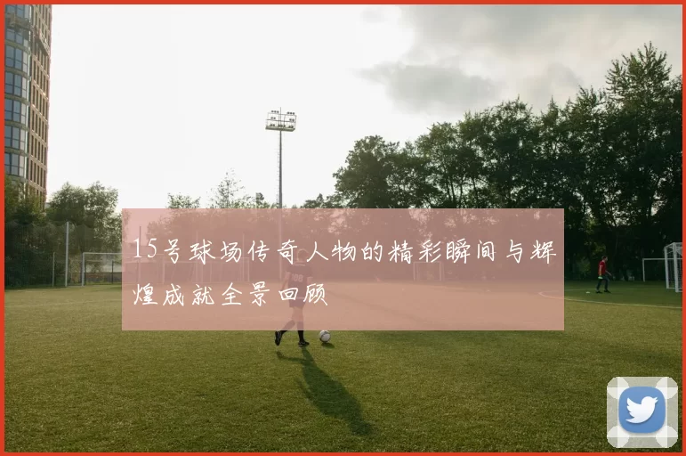 15号球场传奇人物的精彩瞬间与辉煌成就全景回顾
