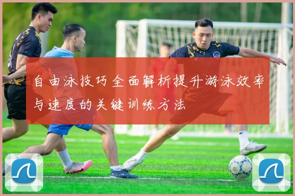 自由泳技巧全面解析提升游泳效率与速度的关键训练方法