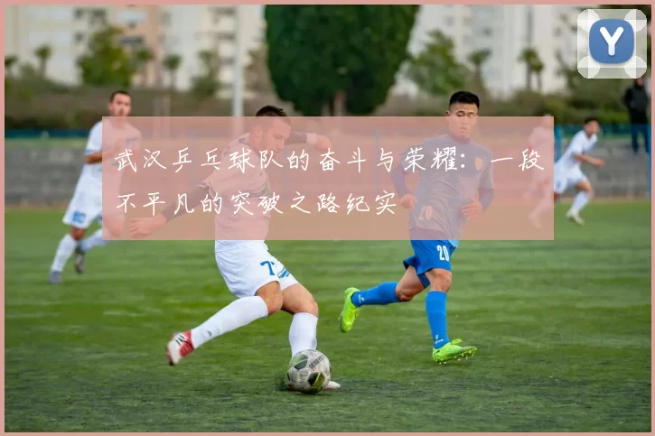 武汉乒乓球队的奋斗与荣耀：一段不平凡的突破之路纪实