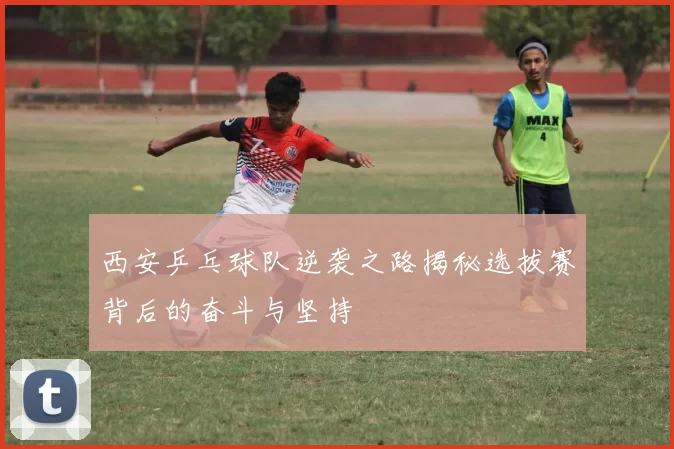 西安乒乓球队逆袭之路揭秘选拔赛背后的奋斗与坚持