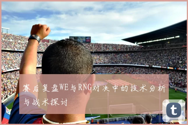 赛后复盘WE与RNG对决中的技术分析与战术探讨