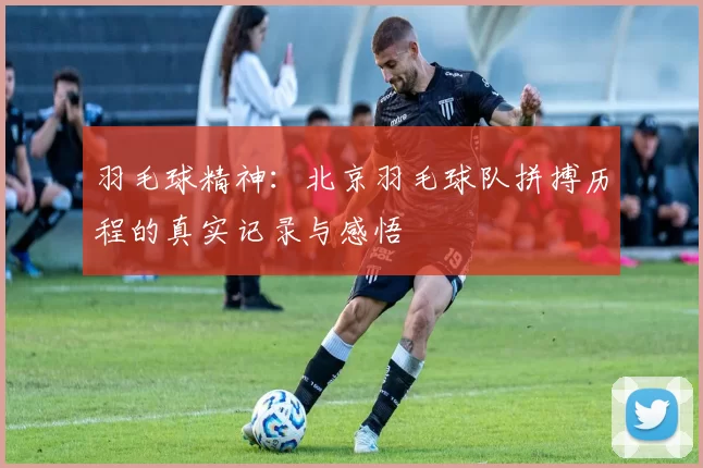 羽毛球精神：北京羽毛球队拼搏历程的真实记录与感悟