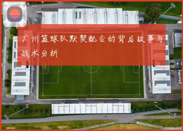 广州篮球队默契配合的背后故事与战术分析