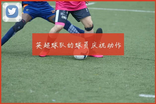 英超球队的球员庆祝动作