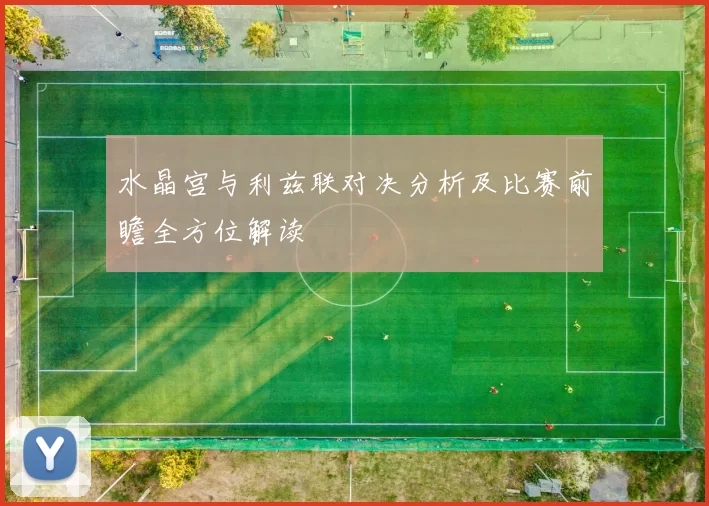 水晶宫与利兹联对决分析及比赛前瞻全方位解读